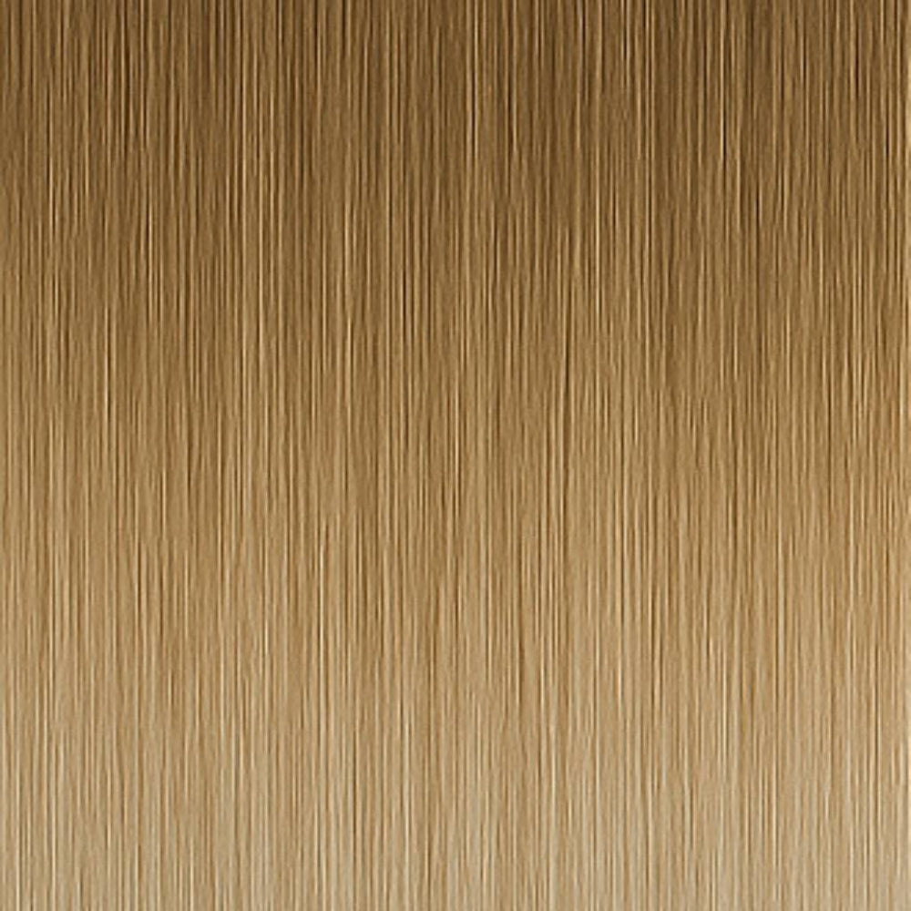Muestra de color - 8A/12AS Mezcla ceniza balayage